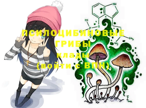 ALPHA-PVP Белокуриха