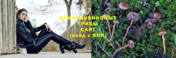 ешки Беломорск